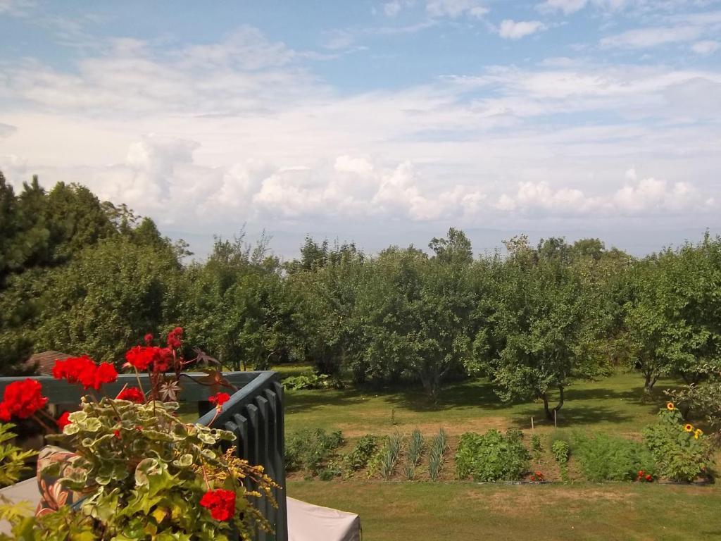 Gite La Halte Du Verger Bed And Breakfast Rivière-du-Loup Eksteriør billede